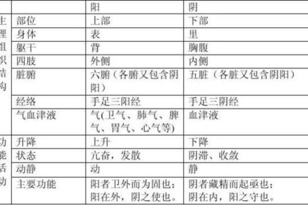 航字的五行属性解析与应用探讨