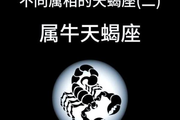 探秘属牛人每月运势变化