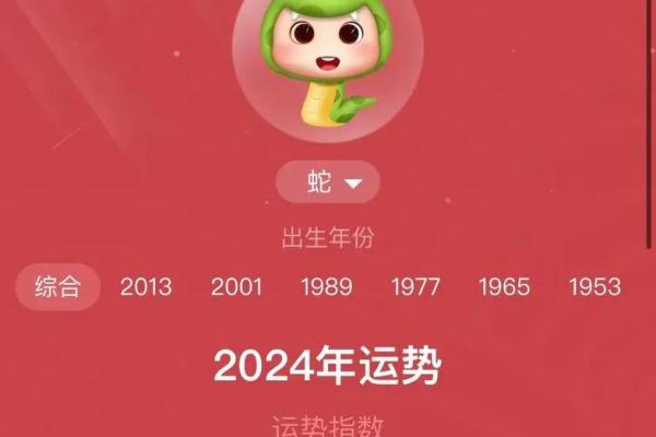 属蛇人在未来一年的好运与挑战