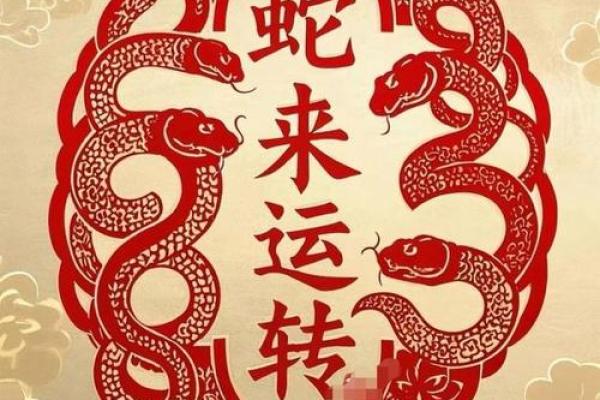 属蛇人在未来一年的好运与挑战