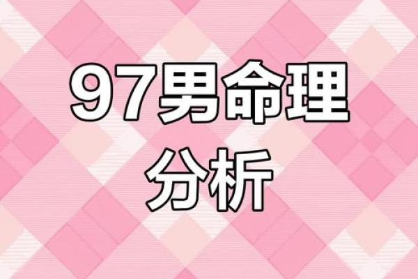男感情运势全面分析：挑战与机遇并存