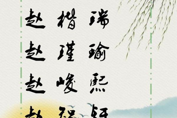 为赵宝宝挑选名字的五个重要原则