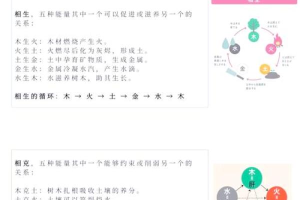 爱婷五行：如何通过五行调理提升身体健康