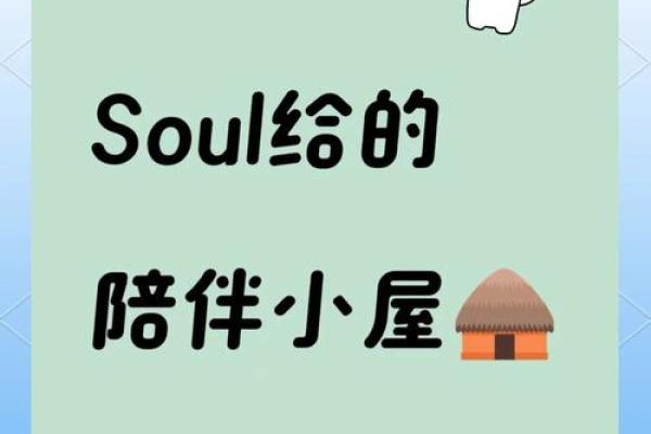 Soul之名：连接情感与音乐的桥梁