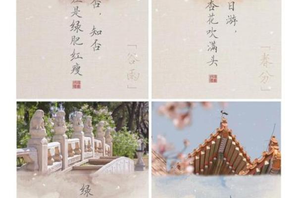 穿越四季，揭秘二十四节气背后的神奇力量