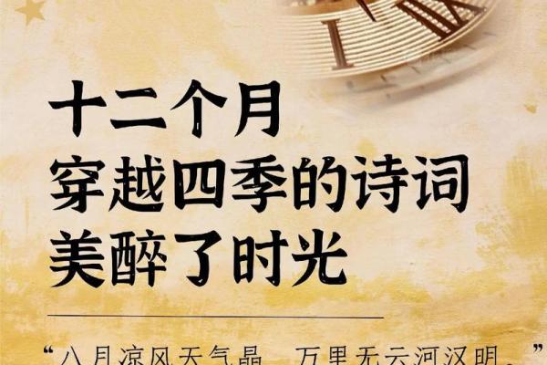 穿越四季，揭秘二十四节气背后的神奇力量