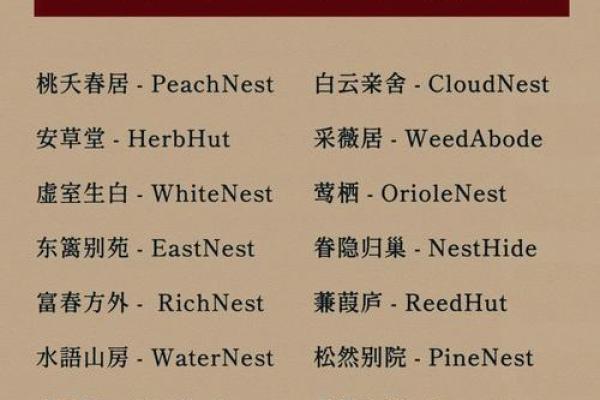 从灵感到实践：打造一个让人记住的创意名字