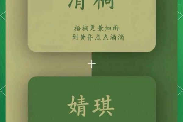 从灵感到实践：打造一个让人记住的创意名字