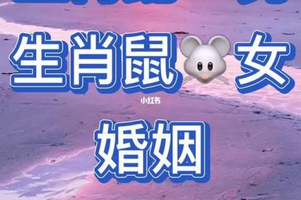 老鼠和蛇属相是否合适的深入分析