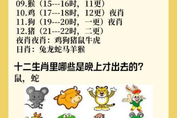 老鼠和蛇属相是否合适的深入分析