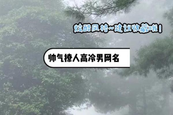 qq霸气名字男大全 激发无限魅力与自信