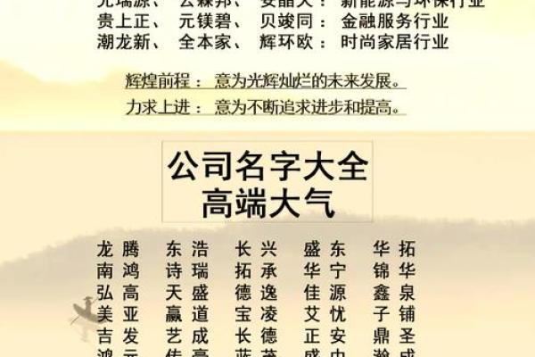 创意十足的电子服务公司命名推荐大全