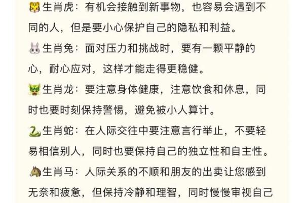 从生肖看运程，各属相的运势全面解析