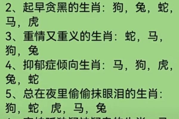 从生肖看运程，各属相的运势全面解析