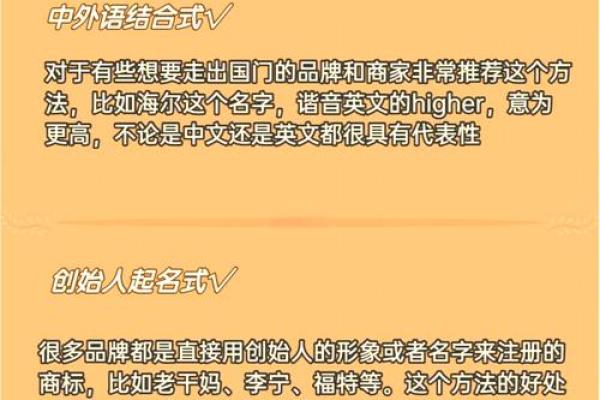 侧分设计与免费公司起名结合，提升品牌辨识度