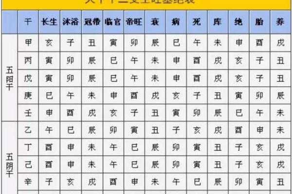 出生的五行属性是什么，揭示你的命运密码