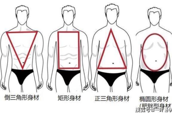 八字分析身材，命运与体型的深层联系