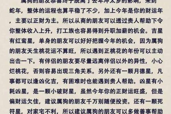 生肖运程如何影响你的事业与生活