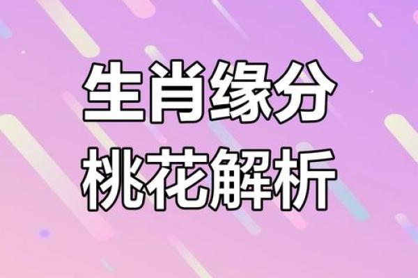 男命双桃花与事业运势的微妙关系