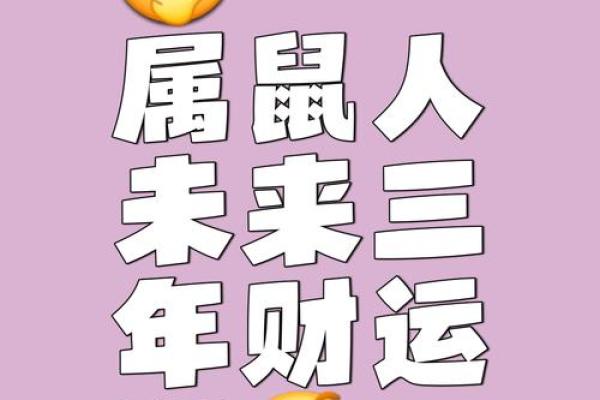 属鼠本命年如何在职场中稳步前行