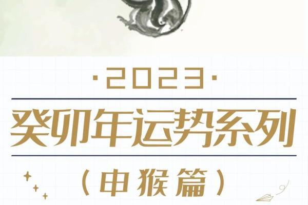 属猴人月度运势起伏趋势