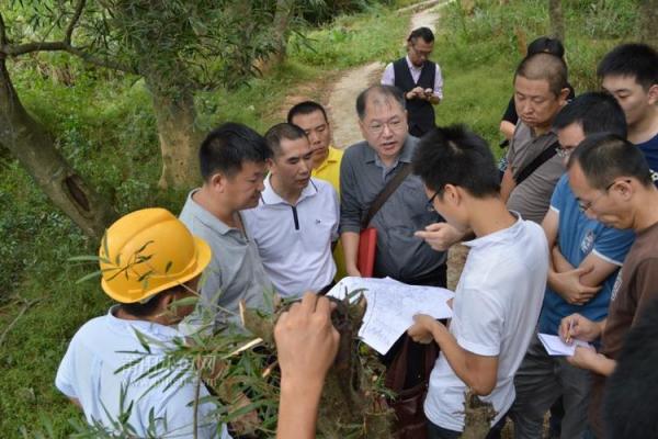 蔡风水在莆田被逮捕，背后是否隐藏更大犯罪网络