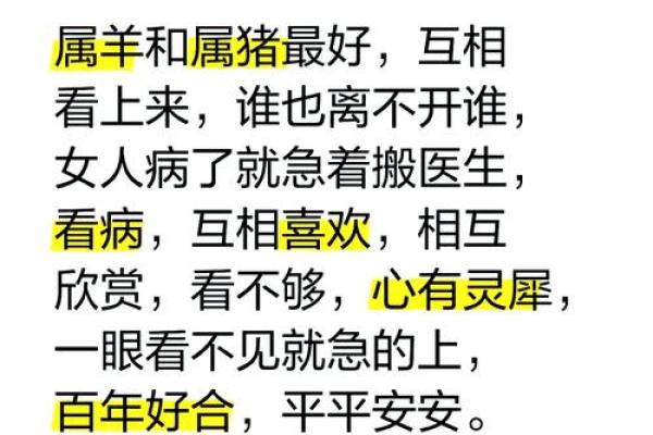 本命年羊女如何平衡工作与家庭的关系