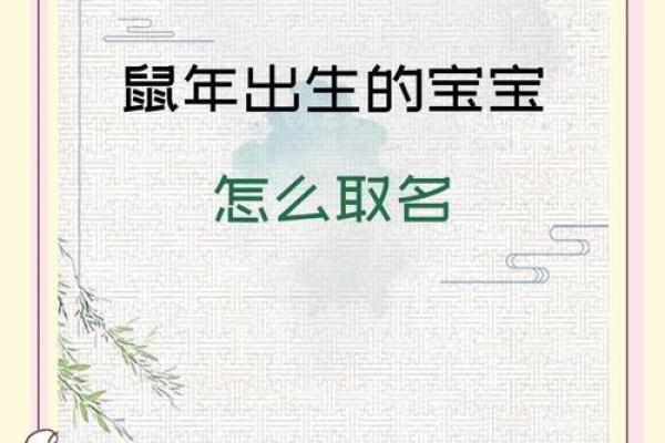 鼠宝宝起名大全精选适合鼠年的名字
