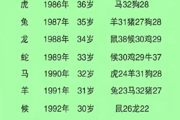 属马与属蛇能走多远？配对深度解析