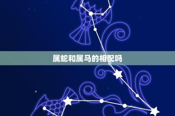 属马与属蛇能走多远？配对深度解析