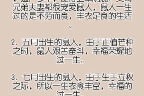 老鼠每月运势解析：从一月到十二月的详细预示