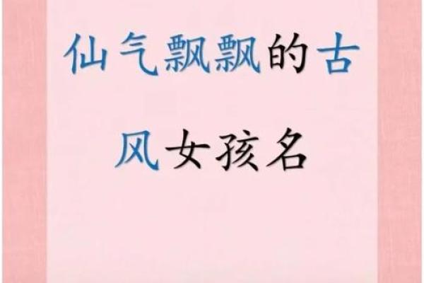 从古风到现代风，鸡宝宝名字选择全攻略