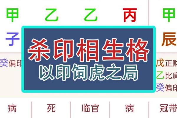 八字独杀：如何利用八字命理破解命运困局