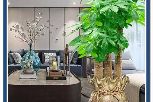 厨房风水布局：植物的选择与摆放禁忌