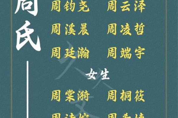 宝宝名字大全：个性与传统的完美平衡