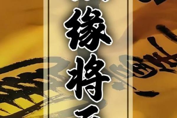 男命双桃花如何影响婚姻与事业
