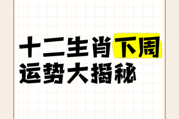 八月运势解析：各生肖如何应对挑战
