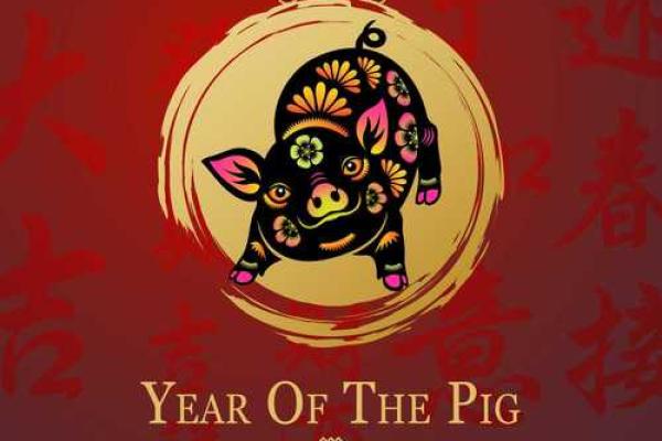 猪年宝宝命名策略:从五行八字看合适名字 猪年宝宝命名策略:从五行八字看合适名字