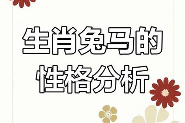 属兔与属马的婚姻契合度解析