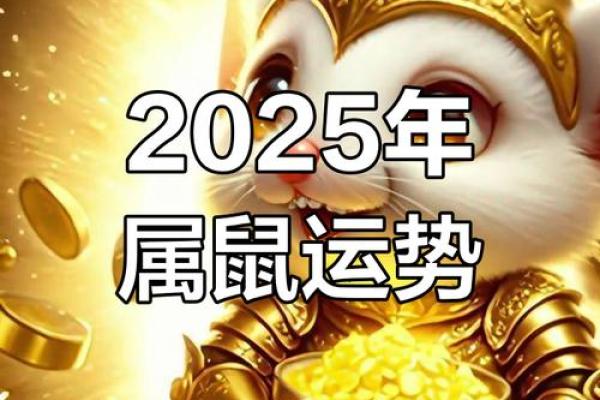 属鼠人在职场与爱情中的运势变化