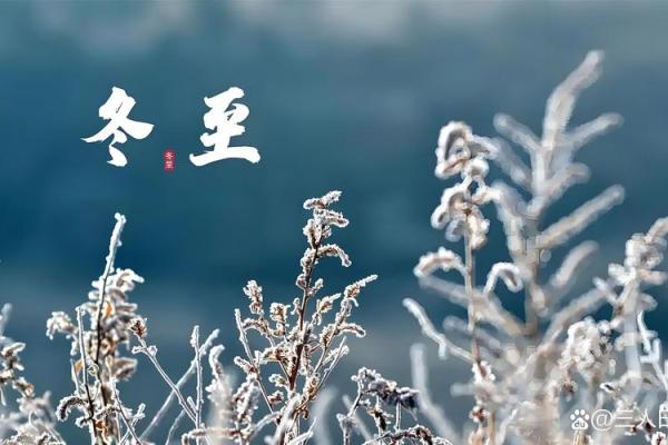 冬至节气详解：农历几月几日？