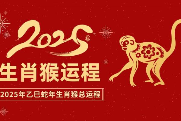 属猴运势全景图：每个月的幸运与挑战