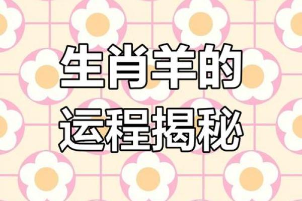 属羊人的运势预测