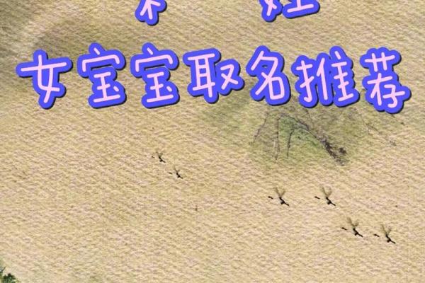 为宋姓男宝宝起名字:传承与创新并重 为宋姓男宝宝起名字:传承与创新并重