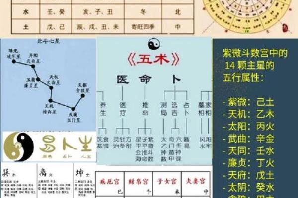 出生五行命理解析，看看你属于哪种命运类型