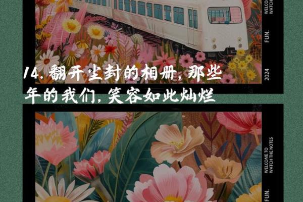 82年记忆宝典：重温经典，唤醒青春回忆