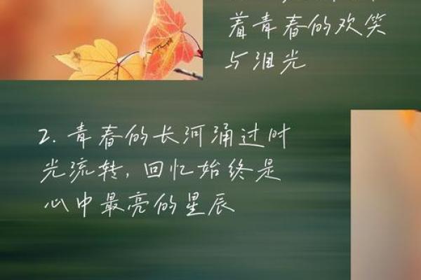 82年记忆宝典：重温经典，唤醒青春回忆