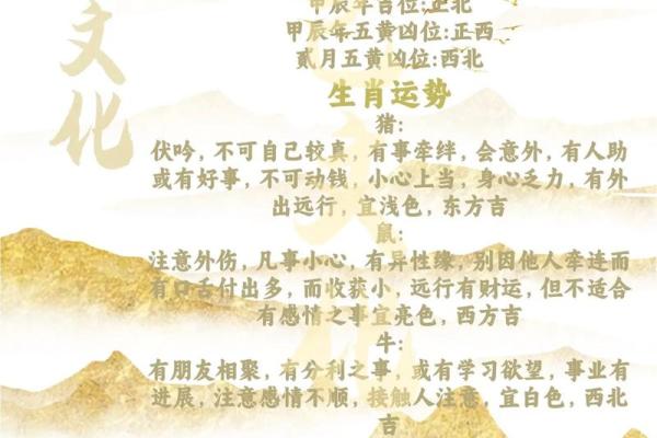 今日生肖运势解析，掌握好运与挑战
