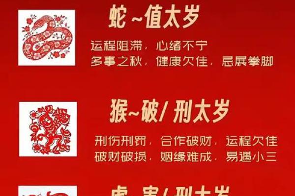 本命年蛇男的理财风险与机会