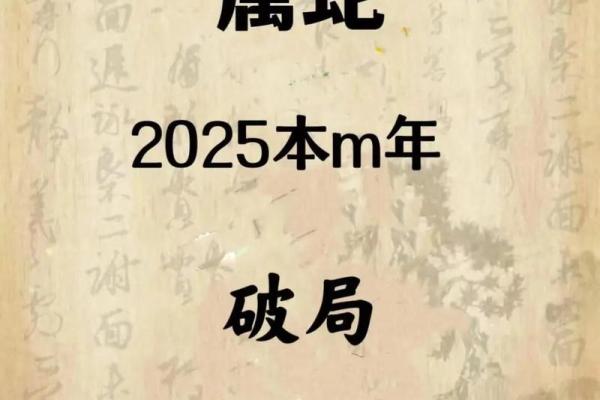本命年蛇男的理财风险与机会